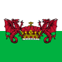 cadwaladr-flag.png