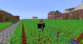 Thumbnail for version as of 00:55, 5 August 2025