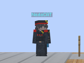 A photo of NadaCAT at the test of the Hungergames minigame